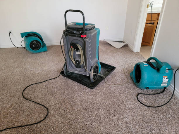 Best Flood restoration services  in New Whiteland, IN