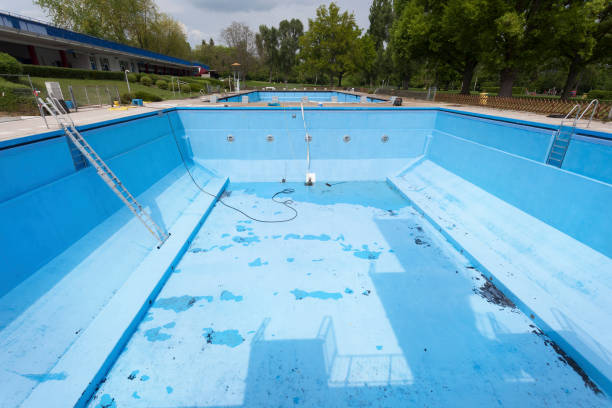 Best Water damage cleanup near me  in New Whiteland, IN