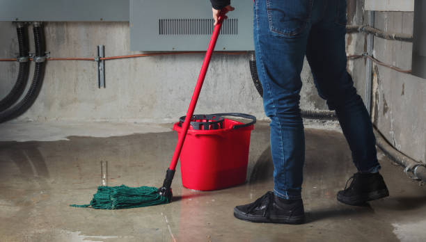Best Flood damage cleanup  in New Whiteland, IN