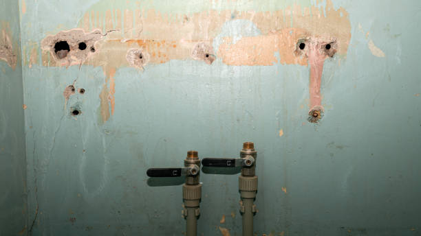 Best Ceiling water damage repair  in New Whiteland, IN