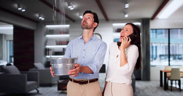 Best Flooded house restoration  in New Whiteland, IN